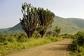 Botswana-2004 F01 12