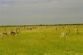 Botswana-2004_F02_19