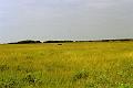 Botswana-2004_F02_20