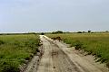 Botswana-2004_F02_20c