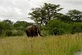 Botswana-2004 F02 33