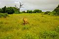 Botswana-2004 F03 14