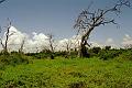 Botswana-2004 F03 24