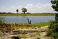 Botswana-2004 F03 24c