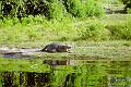 Botswana-2004 F04 12a