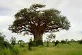 Botswana-2004 F05 07