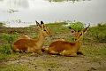Botswana-2004 F05 07a