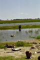 Botswana-2004 F05 19