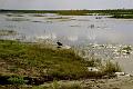 Botswana-2004 F05 22