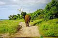 Botswana-2004 F06 03b