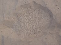 BOT07 402 24 00114
