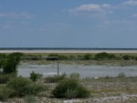 DSC02344a