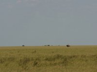 DSC02347a