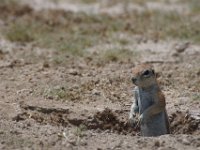 DSC02516a