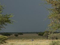 DSC02517a