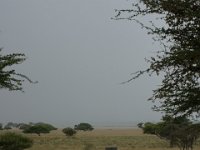 DSC02518a