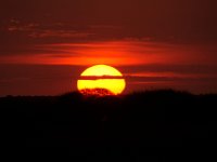 DSC02656a