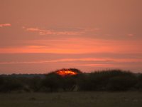DSC02662a