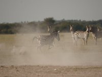 DSC02740a