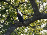 DSC02929a