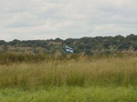 DSC03039a