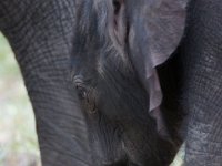 DSC03053a