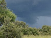 DSC03322a