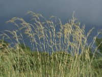 DSC03324a