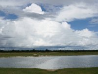 DSC03334a