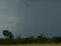 DSC03393a