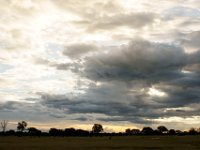 DSC03458a
