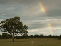 DSC03459a