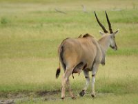 DSC03664a