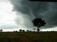 DSC03684a