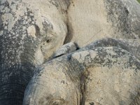DSC03829a