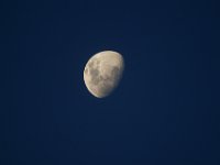 DSC03872a