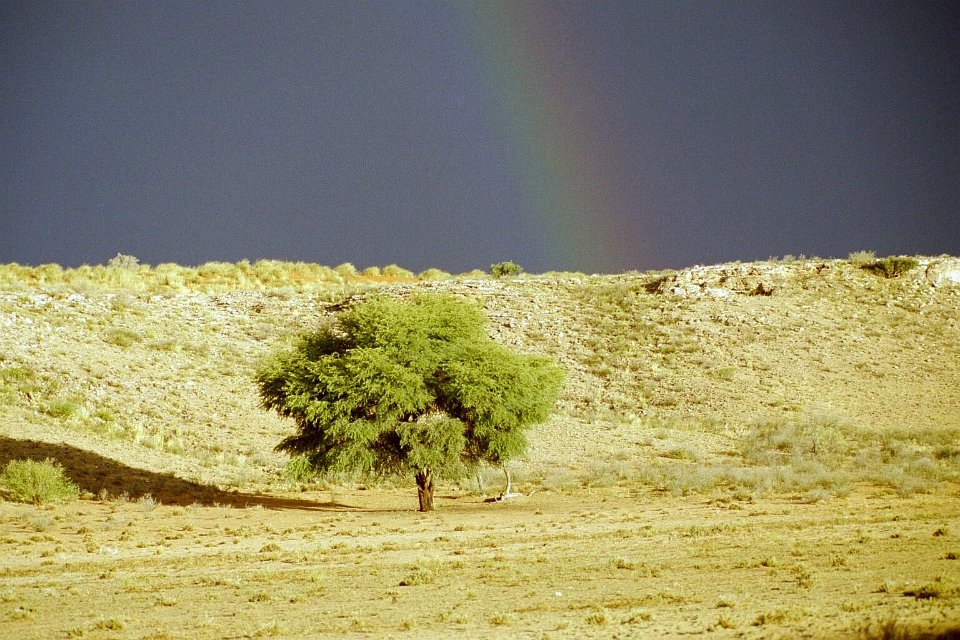 KTP05_01_22.jpg