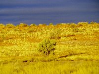 KTP05_01_31