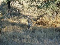 KTP06_09_022a