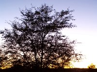 KTP07_10_056