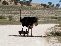 KTP07_10_079