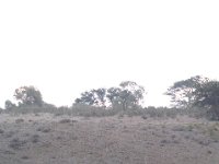 KTP07 12 005