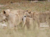KTP08 094 34 00067