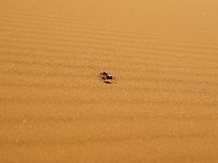 KTP08_215_40_00016