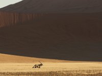 KTP08_219_40_00031
