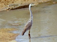 KNP05 02 18