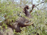 KNP05 04 04