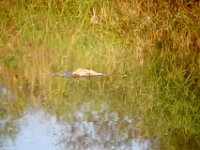 KNP05 05 05