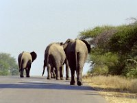 KNP05 05 25