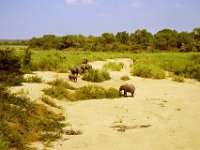KNP05 06 22a